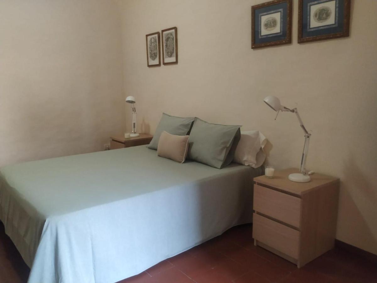 Alfacs Apartment Sant Carles De La Rapita Luaran gambar