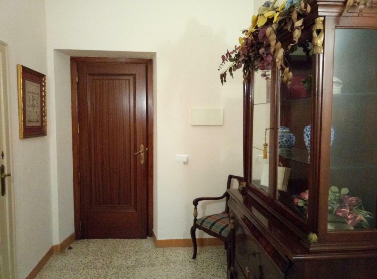 Alfacs Apartment Sant Carles De La Rapita Luaran gambar